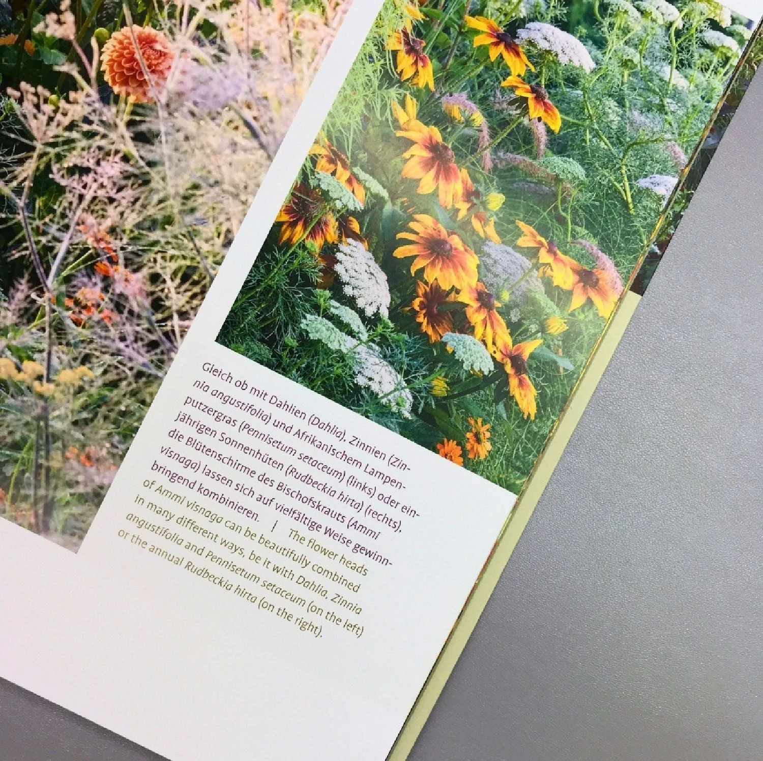 Sichtungsgarten Weihenstephan (Bernd Hertle, Christa Brand) 5 Sichtungsgarten Weihenstephan (Bernd Hertle, Christa Brand) – Bild 3