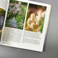Gräser - Faszinierende Leichtigkeit (Borkowski, Hofmeister) -Gartenpflanzen Verkaufsladen 13757 Graeser 20 20Faszinierende 20Leichtigkeit Borkowski 20Hofmeister 4