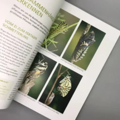 Mein Garten Summt! (Simone Kern) -Gartenpflanzen Verkaufsladen 19935 Mein 20Garten 20summt Simone 20Kern 4