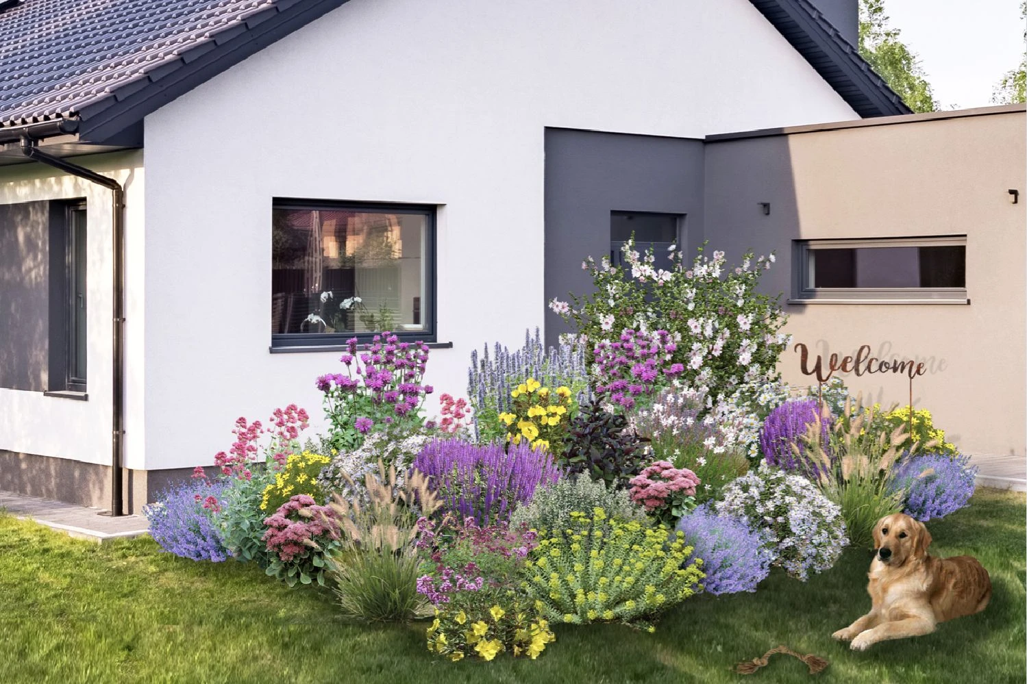 Dauerblüher (Perfektion In Form Und Farbe) 3 Dauerblüher (Perfektion In Form Und Farbe)