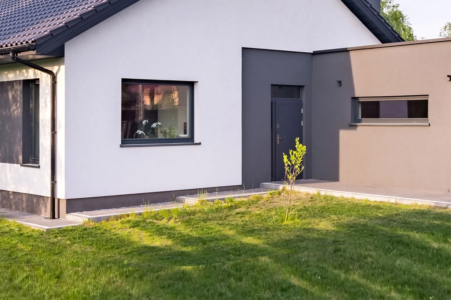 Dauerblüher (Perfektion In Form Und Farbe) 4 Dauerblüher (Perfektion In Form Und Farbe) – Bild 2