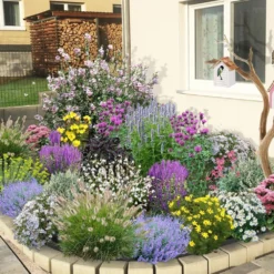 Dauerblüher (Perfektion In Form Und Farbe) 24 Dauerblüher (Perfektion In Form Und Farbe) -Gartenpflanzen Verkaufsladen 2001009 Dauerblueher Perfektion 20in 20Form 20und 20Farbe 3