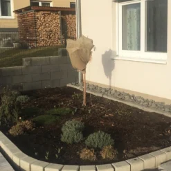 Dauerblüher (Perfektion In Form Und Farbe) 25 Dauerblüher (Perfektion In Form Und Farbe) -Gartenpflanzen Verkaufsladen 2001009 Dauerblueher Perfektion 20in 20Form 20und 20Farbe 4