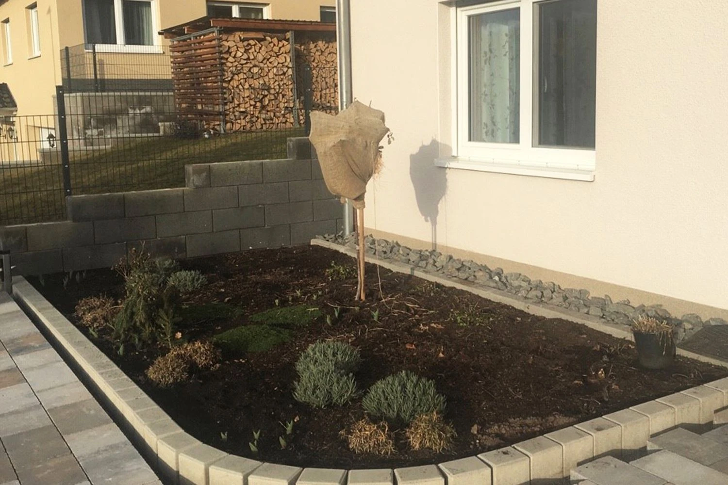 Dauerblüher (Perfektion In Form Und Farbe) 6 Dauerblüher (Perfektion In Form Und Farbe) – Bild 4