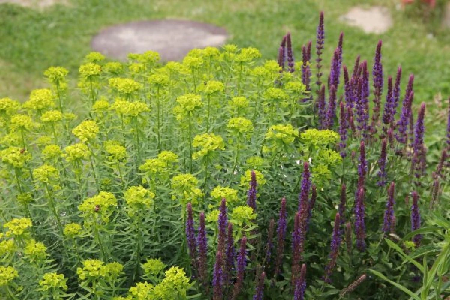 Sonniges Willkommen (Idee Für Den Vorgarten) 9 Sonniges Willkommen (Idee Für Den Vorgarten) – Bild 7