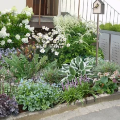 Edler Empfang (Idee Für Den Vorgarten)