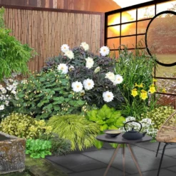 Fernöstlicher Traum (Ein Hauch Von Japan Im Eigenen Garten) -Gartenpflanzen Verkaufsladen 2001632 Fernoestlicher 20Traum Ein 20Hauch 20von 20Japan 20im 20eigenen 20Garten 3