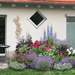 Beet In Feierlaune (Der Sommer Kann Kommen!) -Gartenpflanzen Verkaufsladen 2001804 Beet 20in 20Feierlaune Der 20Sommer 20kann 20kommen 3