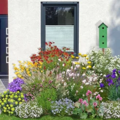 Neverending (Ausdauernde Blütenfreude Durchs Jahr)