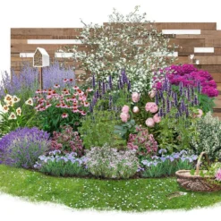 Nasenschmeichler (Herrlicher Duft Und Ausdauernde Blüten)