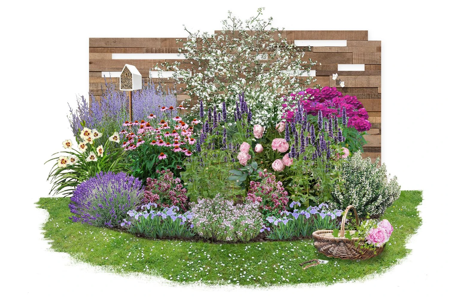 Nasenschmeichler (Herrlicher Duft Und Ausdauernde Blüten) 3 Nasenschmeichler (Herrlicher Duft Und Ausdauernde Blüten)