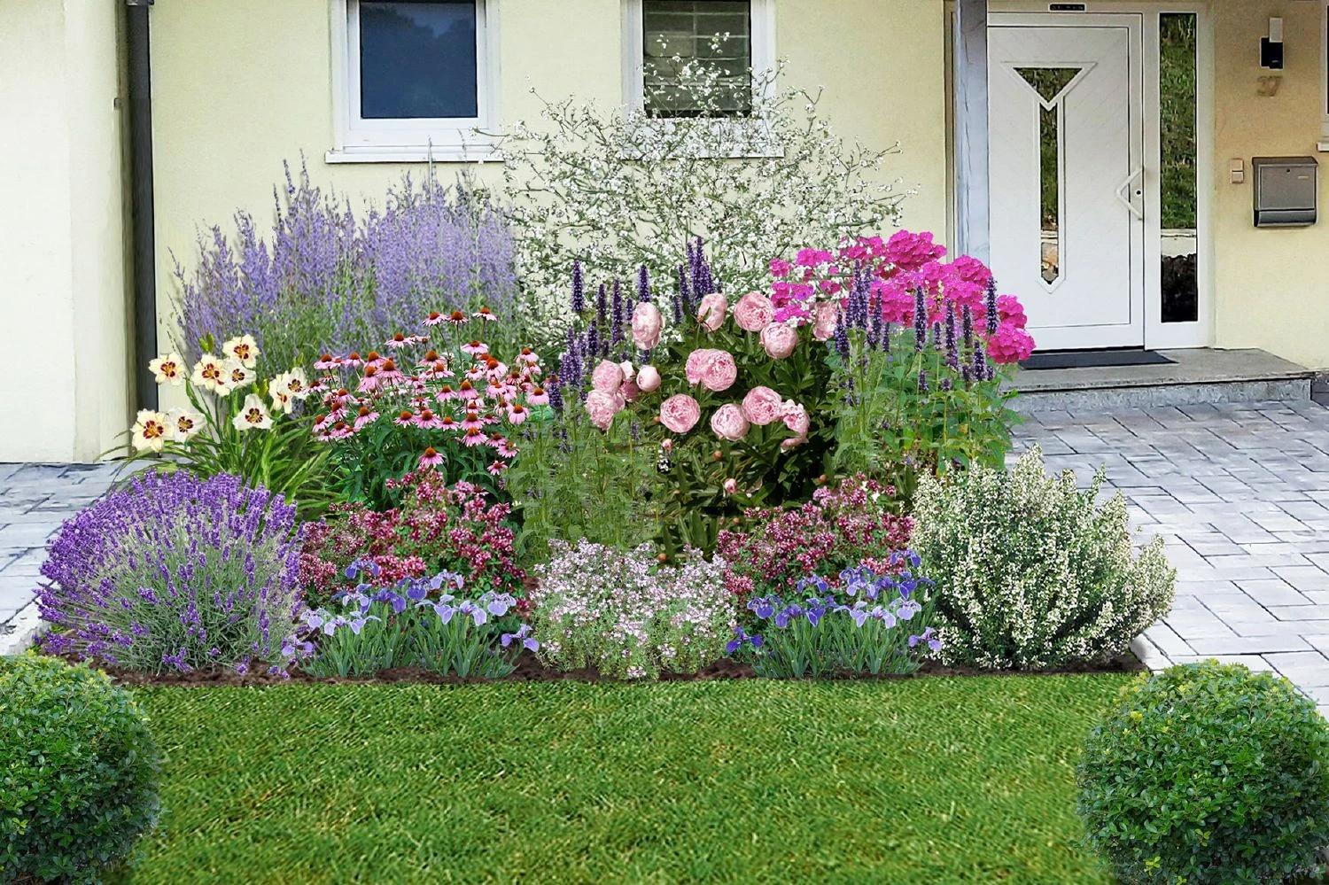 Nasenschmeichler (Herrlicher Duft Und Ausdauernde Blüten) 5 Nasenschmeichler (Herrlicher Duft Und Ausdauernde Blüten) – Bild 3