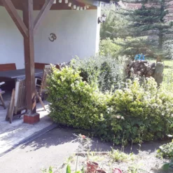 Titelseite -Gartenpflanzen Verkaufsladen 2002440 Alles 20Easy 20 20Das 20Anfaengerbeet Gartenneulinge 20aufgepasst 2