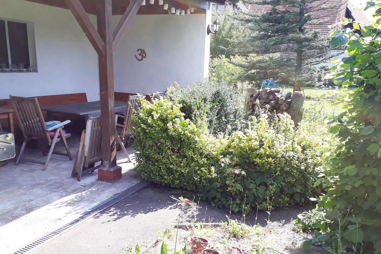 Alles Easy - Das Anfängerbeet (Gartenneulinge Aufgepasst!) 4 Alles Easy - Das Anfängerbeet (Gartenneulinge Aufgepasst!) – Bild 2