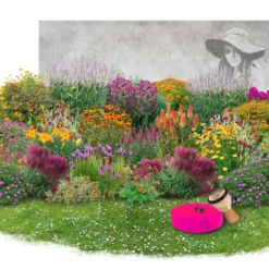 Summer Of Love (Belebende Flower Power Für Ihren Garten!) -Gartenpflanzen Verkaufsladen 2002767 Summer 20of 20Love Belebende 20Flower 20Power 20fuer 20Ihren 20Garten 11