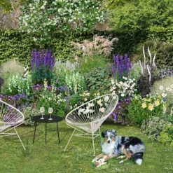 Lauschiger Lieblingsplatz (Hochsommerlicher Rückzugsort) -Gartenpflanzen Verkaufsladen 2003181 Lauschiger 20Lieblingsplatz Hochsommerlicher 20Rueckzugsort 3