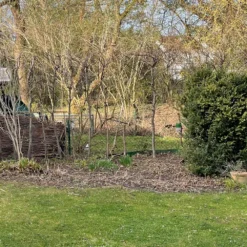 Lauschiger Lieblingsplatz (Hochsommerlicher Rückzugsort) -Gartenpflanzen Verkaufsladen 2003181 Lauschiger 20Lieblingsplatz Hochsommerlicher 20Rueckzugsort 4