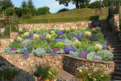 Das Hangbeet (Clevere Bepflanzung Für Schräge Flächen) -Gartenpflanzen Verkaufsladen 2003344 Das 20Hangbeet Clevere 20Bepflanzung 20fuer 20schraege 20Flaechen 1