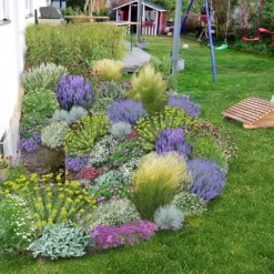 Das Hangbeet (Clevere Bepflanzung Für Schräge Flächen) -Gartenpflanzen Verkaufsladen 2003344 Das 20Hangbeet Clevere 20Bepflanzung 20fuer 20schraege 20Flaechen 3