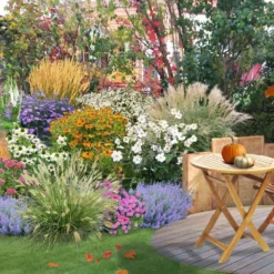 Leuchtender Herbst (Farbenfroher Ausklang Im Garten)