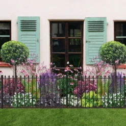 Das Streifenbeet (Blütenreicher Saum Für Wege, Mauern & Zäune) -Gartenpflanzen Verkaufsladen 2003627 Das 20Streifenbeet Bluetenreicher 20Saum 20fuer 20Wege 20Mauern 20 20Zaeune 3