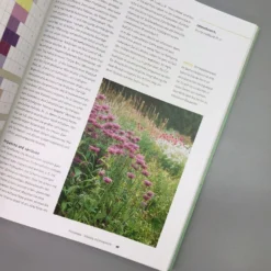 Einfach Schöne Beete (Christine Breier) -Gartenpflanzen Verkaufsladen 20593 Einfach 20schoene 20Beete Christine 20Breier 4