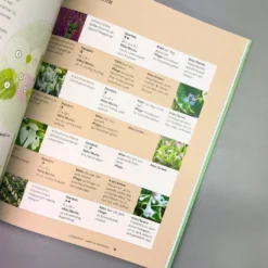 Einfach Schöne Beete (Christine Breier) -Gartenpflanzen Verkaufsladen 20593 Einfach 20schoene 20Beete Christine 20Breier 5