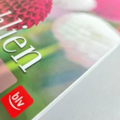 Dahlien (Bettina Verbeek) -Gartenpflanzen Verkaufsladen 21434 Dahlien Bettina 20Verbeek 2