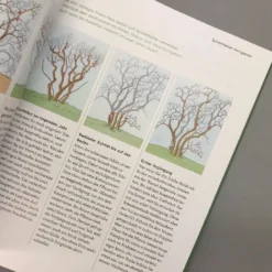 So Einfach Geht Pflanzenschnitt (Hansjörg Haas) 13 So Einfach Geht Pflanzenschnitt (Hansjörg Haas) -Gartenpflanzen Verkaufsladen 22145 So 20einfach 20geht 20Pflanzenschnitt Hansjoerg 20Haas 6