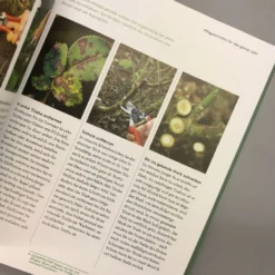 So Einfach Geht Pflanzenschnitt (Hansjörg Haas) 14 So Einfach Geht Pflanzenschnitt (Hansjörg Haas) -Gartenpflanzen Verkaufsladen 22145 So 20einfach 20geht 20Pflanzenschnitt Hansjoerg 20Haas 7