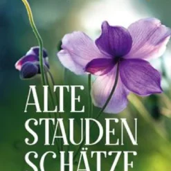 Alte Stauden Schätze (Dieter Gaißmayer) 11 Alte Stauden Schätze (Dieter Gaißmayer) -Gartenpflanzen Verkaufsladen 22635 Alte 20Stauden 20Schaetze Dieter 20Gaissmayer 1