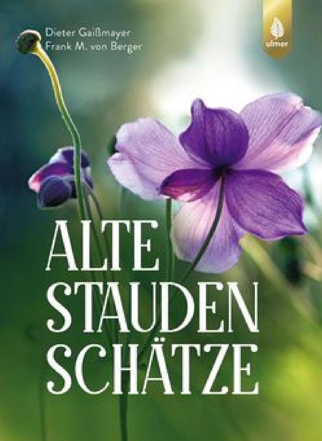 Alte Stauden Schätze (Dieter Gaißmayer) 7 Alte Stauden Schätze (Dieter Gaißmayer) – Bild 5