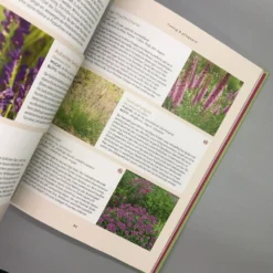 Und Es Wächst Doch! (Till Hofmann) -Gartenpflanzen Verkaufsladen 24676 Und 20es 20waechst 20doch Till 20Hofmann 6