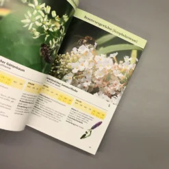 Bienenweide (Günter Pritsch) -Gartenpflanzen Verkaufsladen 24710 Bienenweide Guenter 20Pritsch 4