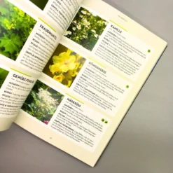 Kräuter - Es Geht Auch EINFACH! (Burkhard Bohne) -Gartenpflanzen Verkaufsladen 25643 Kraeuter 20 20Es 20geht 20auch 20EINFACH Burkhard 20Bohne 4