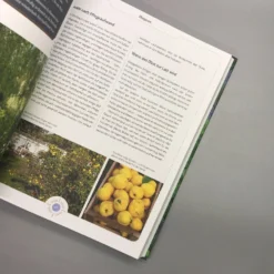 Viel Garten - Wenig Zeit (Brunhilde Bross) -Gartenpflanzen Verkaufsladen 26029 Viel 20Garten 20 20Wenig 20Zeit Brunhilde 20Bross 7