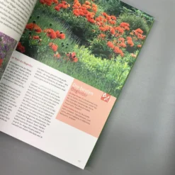 Ganzjährig Attraktive Beete (Ute Bauer) -Gartenpflanzen Verkaufsladen 26258 Ganzjaehrig 20attraktive 20Beete Ute 20Bauer 4