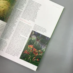 Ganzjährig Attraktive Beete (Ute Bauer) -Gartenpflanzen Verkaufsladen 26258 Ganzjaehrig 20attraktive 20Beete Ute 20Bauer 5