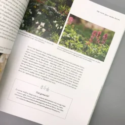 Mein Summendes Paradies (Cynthia Nagel) -Gartenpflanzen Verkaufsladen 26260 Mein 20summendes 20Paradies Cynthia 20Nagel 5