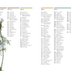 Flora (Wunderwelt Der Pflanzen) -Gartenpflanzen Verkaufsladen 27612 Flora Wunderwelt 20der 20Pflanzen 2