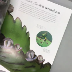 Flora (Wunderwelt Der Pflanzen) -Gartenpflanzen Verkaufsladen 27612 Flora Wunderwelt 20der 20Pflanzen 8