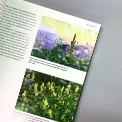 Wild Garden (Sven Nürnberger) -Gartenpflanzen Verkaufsladen 27783 Wild 20Garden Sven 20Nuernberger 4