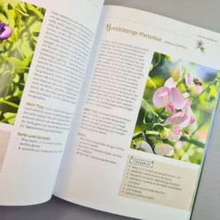 Mein Bienengarten, Erweiterte Auflage (Elke Schwarzer) -Gartenpflanzen Verkaufsladen 28879 Mein 20Bienengarten 20erweiterte 20Auflage Elke 20Schwarzer 5 c15494a2 d75c 486c 8ff3 9973a482fca0