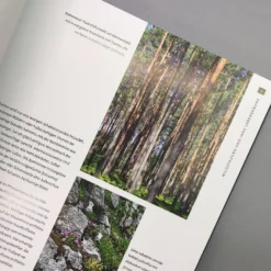 Heimische Wildstauden (Peter Steiger) -Gartenpflanzen Verkaufsladen 28882 Heimische 20Wildstauden Peter 20Steiger 5