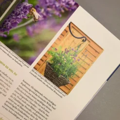 Wilde Kübel (Simone Kern) -Gartenpflanzen Verkaufsladen 29075 Wilde 20Kuebel Simone 20Kern 4