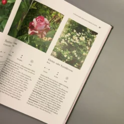 Robuste Schönheiten Für Den Garten (Ina Timm) -Gartenpflanzen Verkaufsladen 29364 Robuste 20Schoenheiten 20fuer 20den 20Garten Ina 20Timm 6