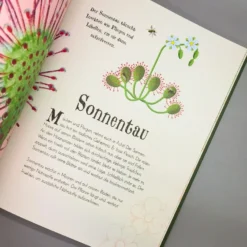 Wundervolle Welt Der Natur (Ben Hoare) -Gartenpflanzen Verkaufsladen 30469 Wundervolle 20Welt 20der 20Natur Ben 20Hoare 7