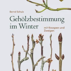 Gehölzbestimmung Im Winter (Bernd Schulz) -Gartenpflanzen Verkaufsladen 30673 Gehoelzbestimmung 20im 20Winter Bernd 20Schulz 1