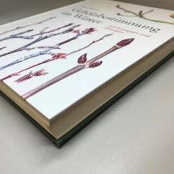 Gehölzbestimmung Im Winter (Bernd Schulz)