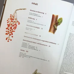 Gehölzbestimmung Im Winter (Bernd Schulz) -Gartenpflanzen Verkaufsladen 30673 Gehoelzbestimmung 20im 20Winter Bernd 20Schulz 4